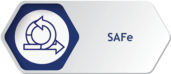 SAFE (L)